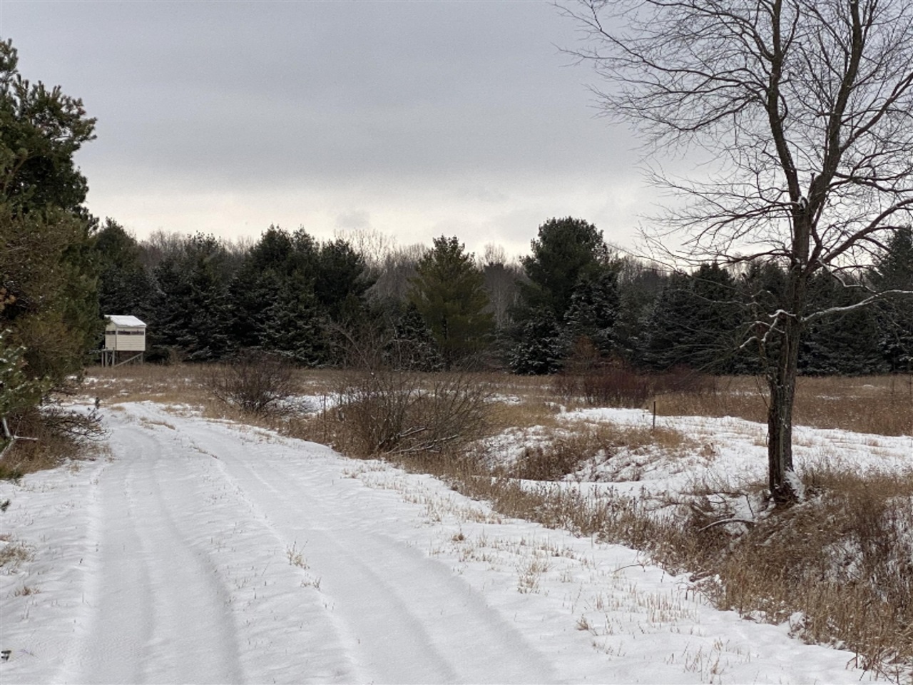 34.92 West Sidney Road Stanton, MI 48888 - Photo 9 of 15 Gallery Image 9