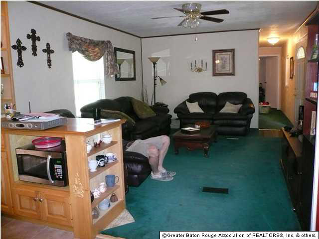 33765 Perkins Road Denham Springs, LA 70706 - Photo 5 of 9