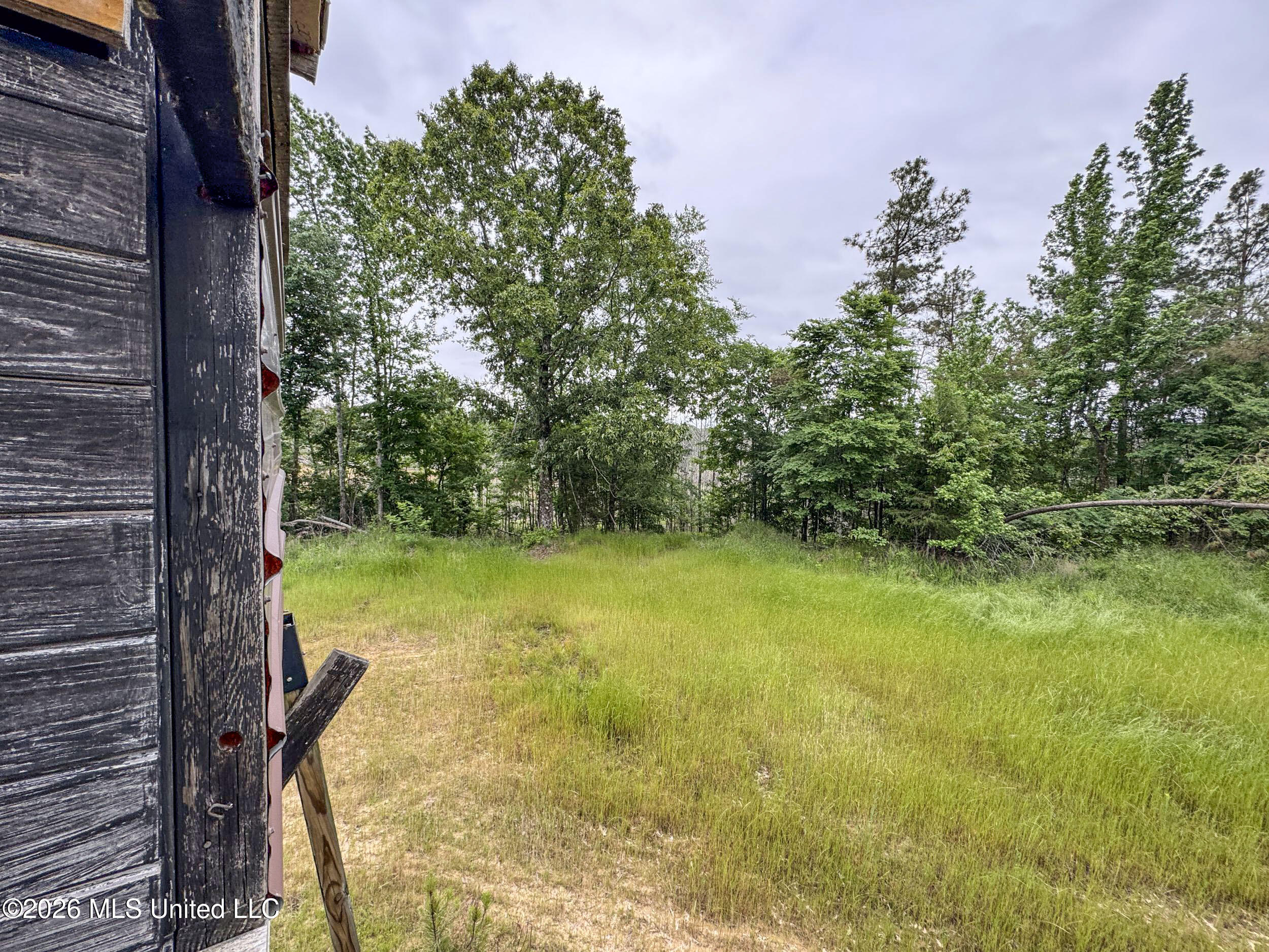 Wayne Massie Road Como, MS 38619 - Photo 150 of 184 5cdtbs94