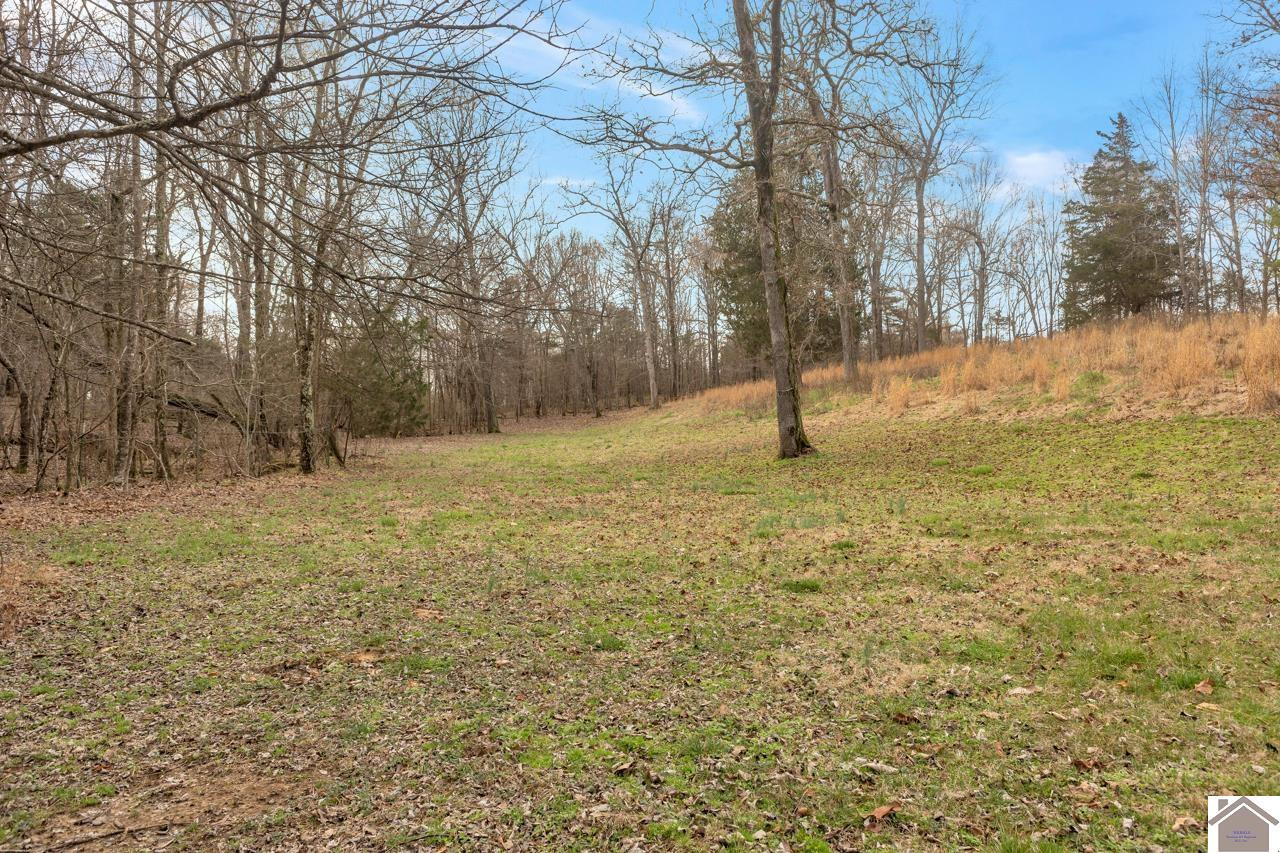 629 Riley Road Benton, KY 42025 - Photo 35 of 40 Photo 35