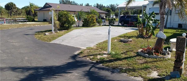a view of a yard with plants
