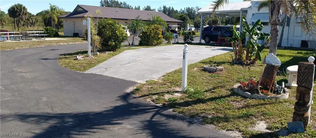 a view of a yard with plants