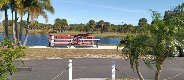 a view of a yard with palm trees
