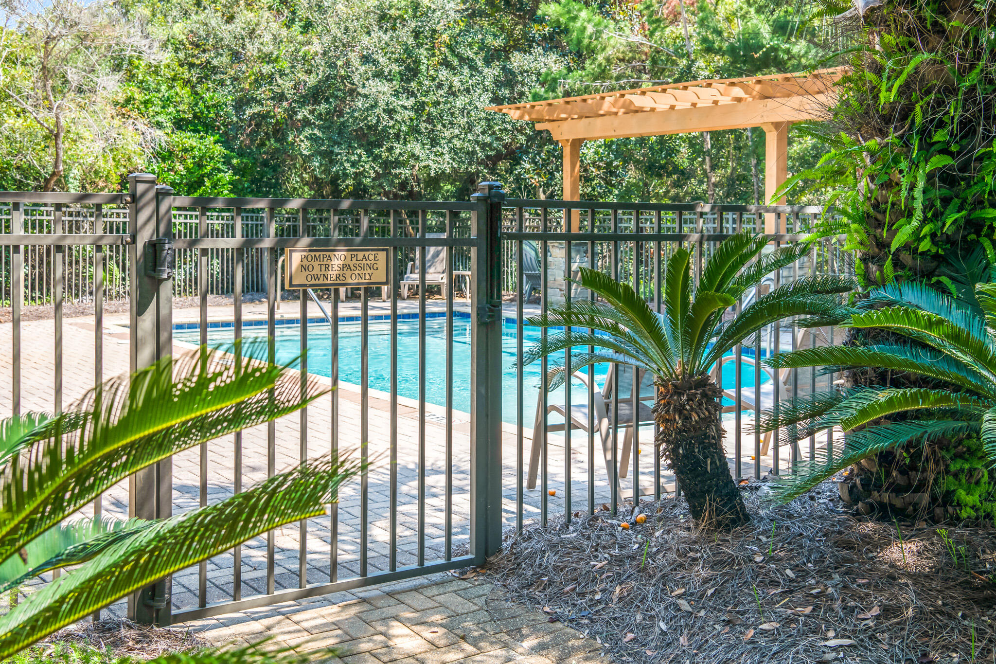 11 Pompano Pl Inlet Beach Inlet Beach, FL 32461 - Photo 66 of 68 DSC_7628