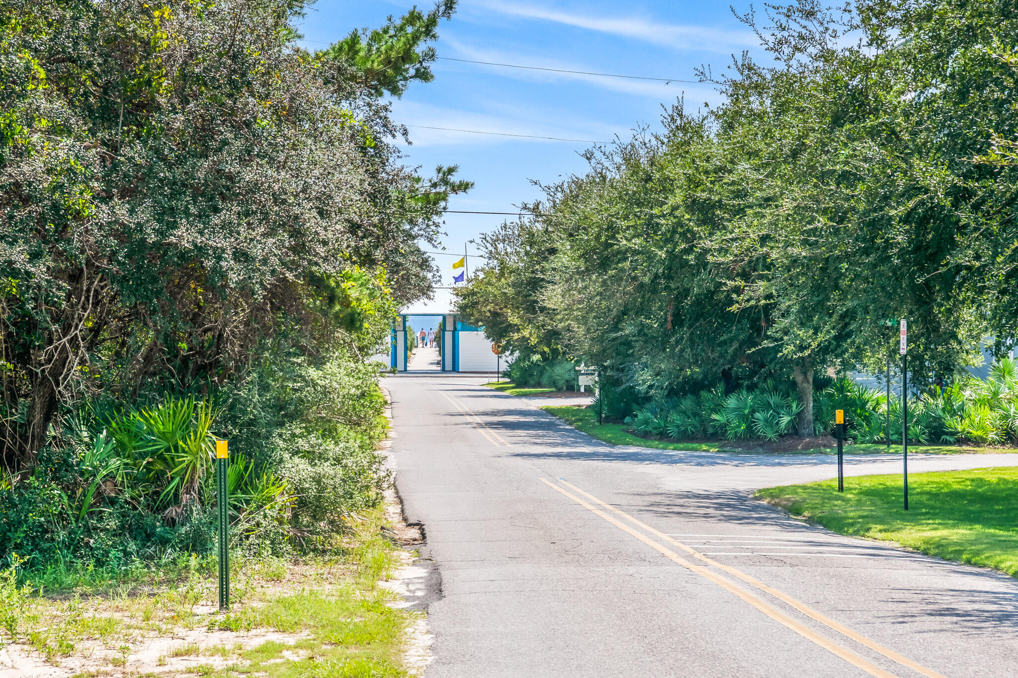11 Pompano Pl Inlet Beach Inlet Beach, FL 32461 - Photo 68 of 68 a view of a yard with plants and large trees