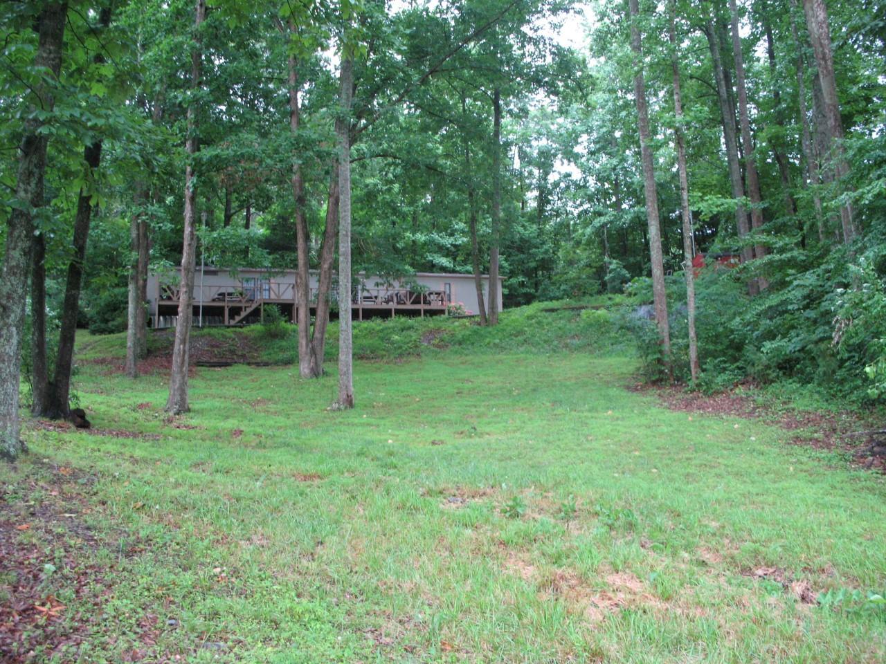 a view of a backyard with a trees