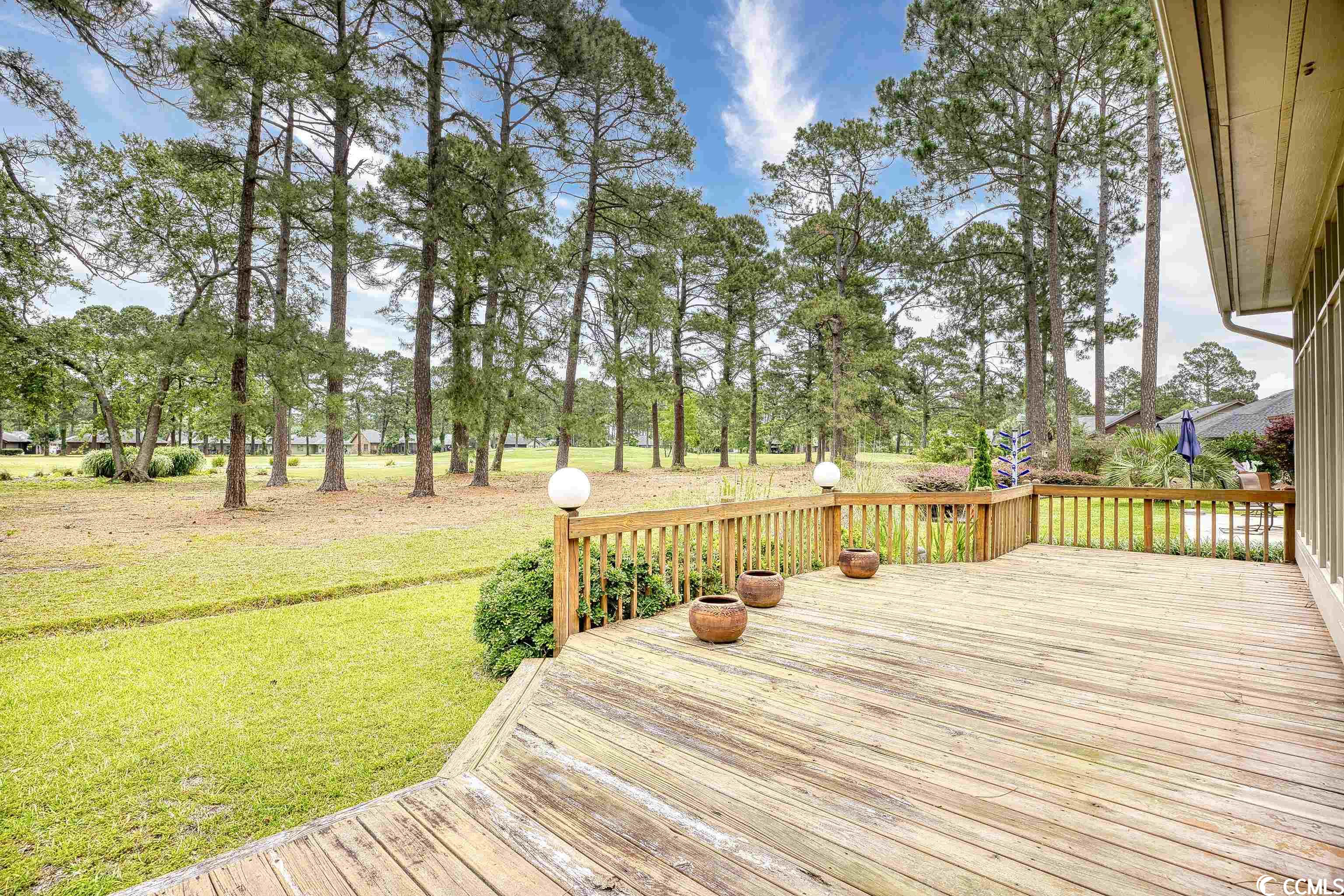 218 Cedar Ridge Lane Conway, SC 29526 - Photo 32 of 40 Gallery Image 32