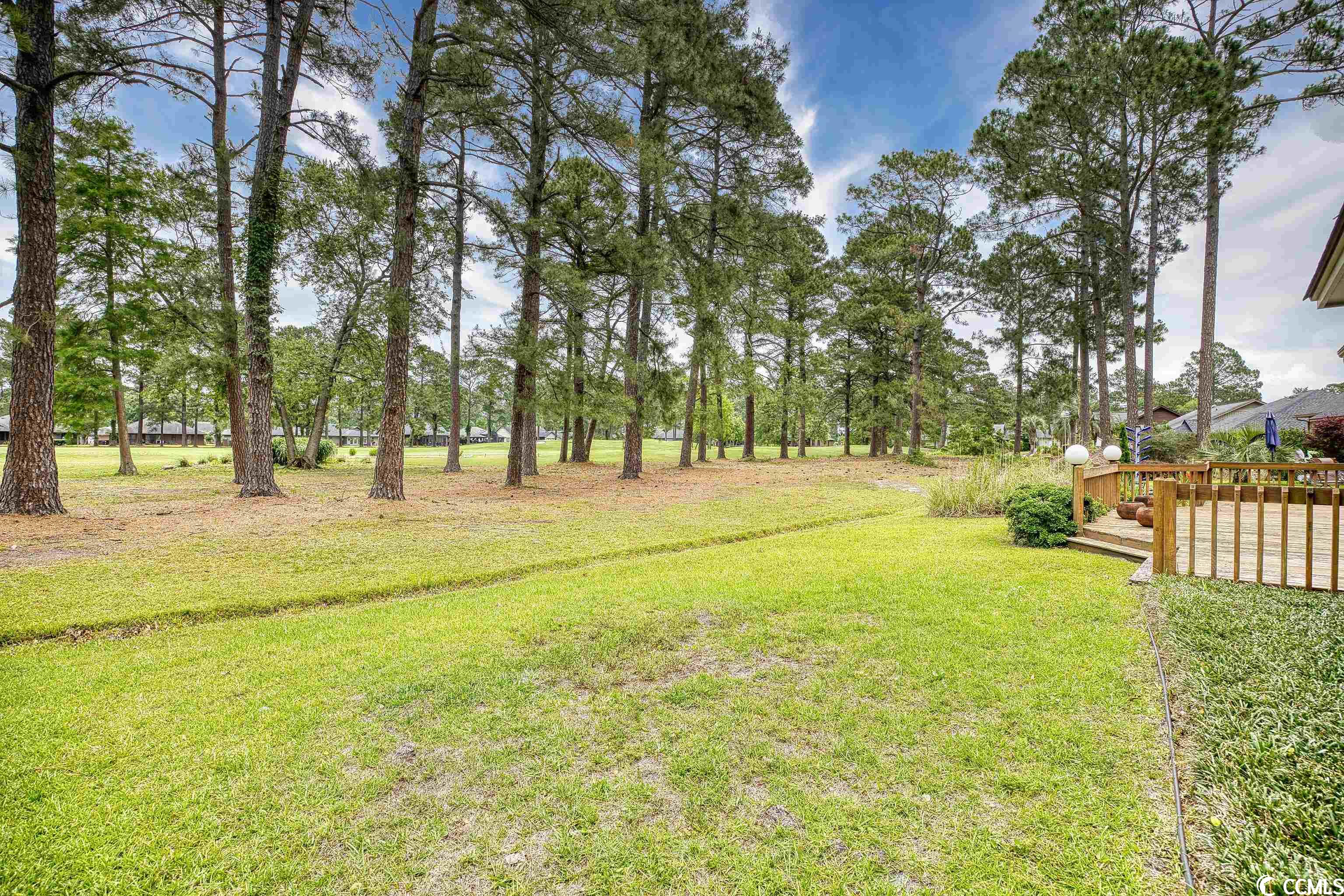 218 Cedar Ridge Lane Conway, SC 29526 - Photo 33 of 40 Gallery Image 33