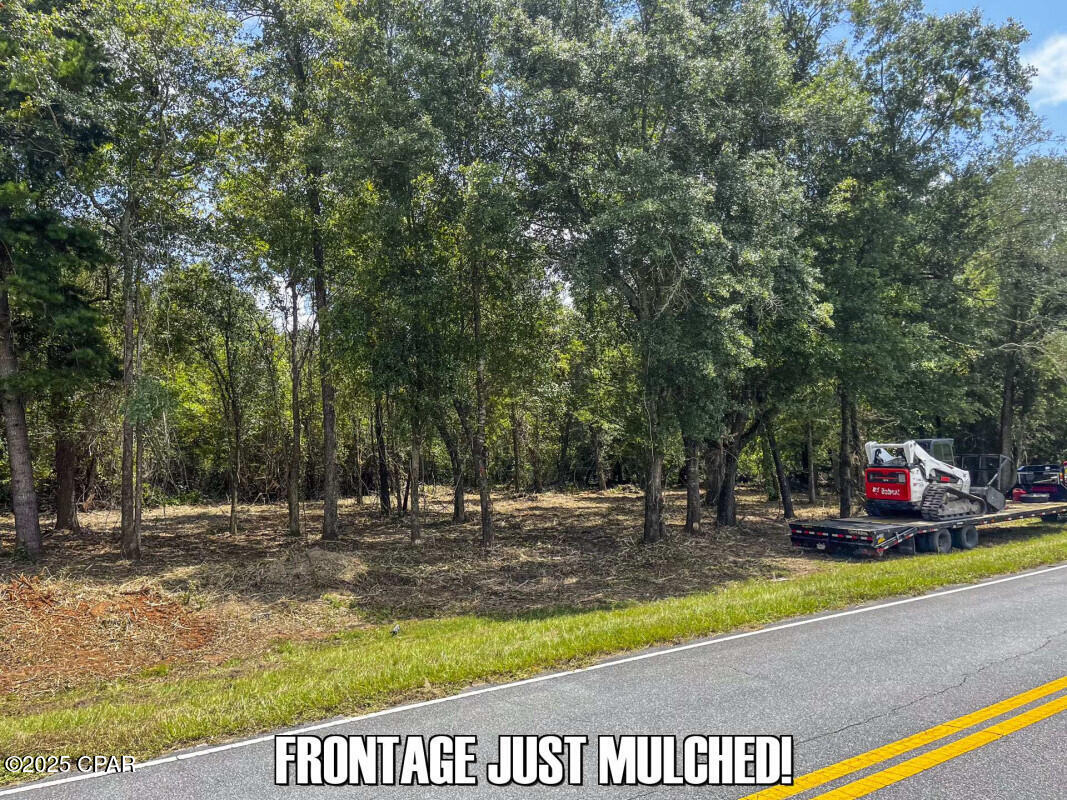 Tbd Salem Church Road Sneads, FL 32460 - Photo 3 of 21 Gallery Image 3