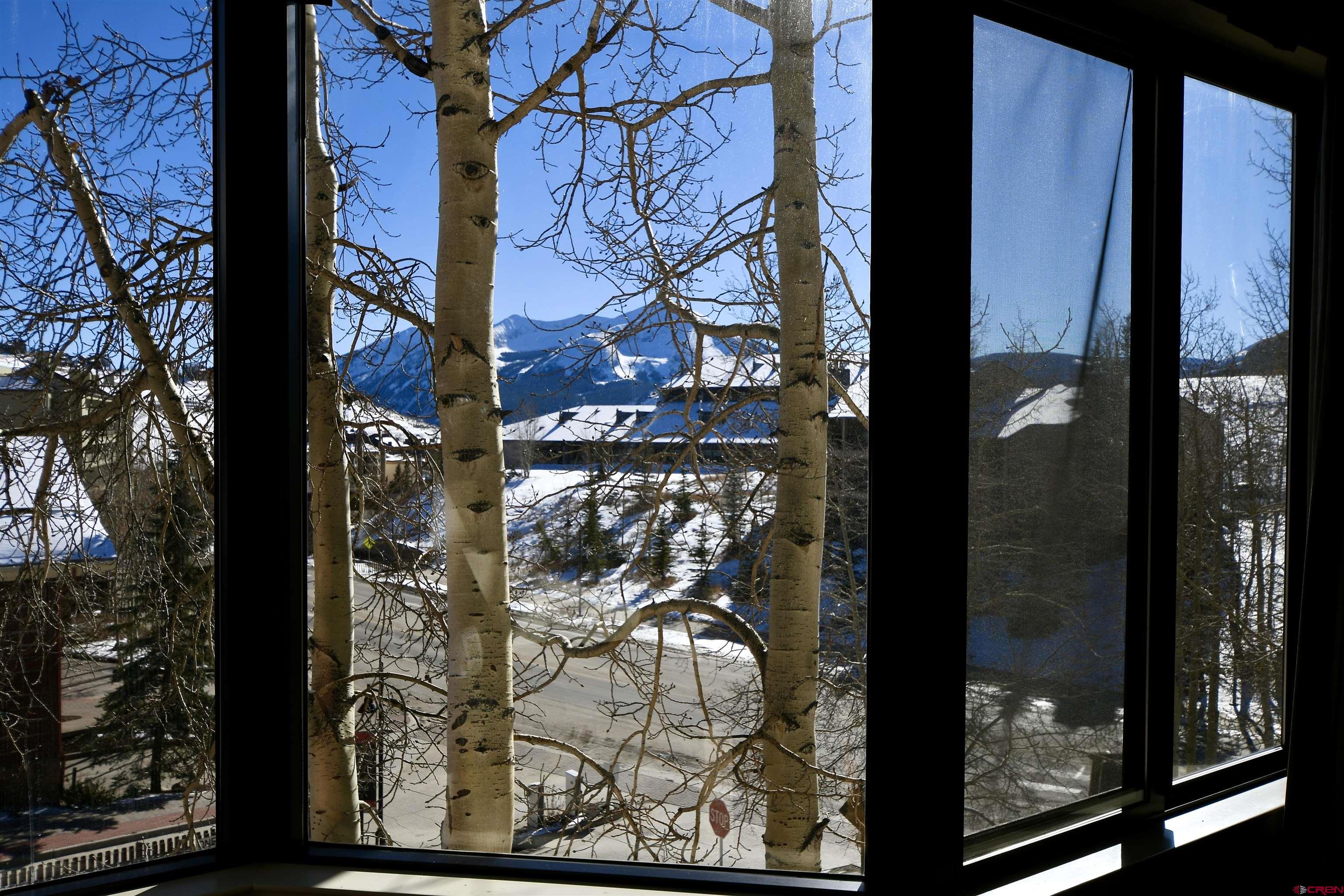 6 Emmons Road, Unit 355 Crested Butte, CO 81225 - Photo 15 of 29 Gallery Image 15