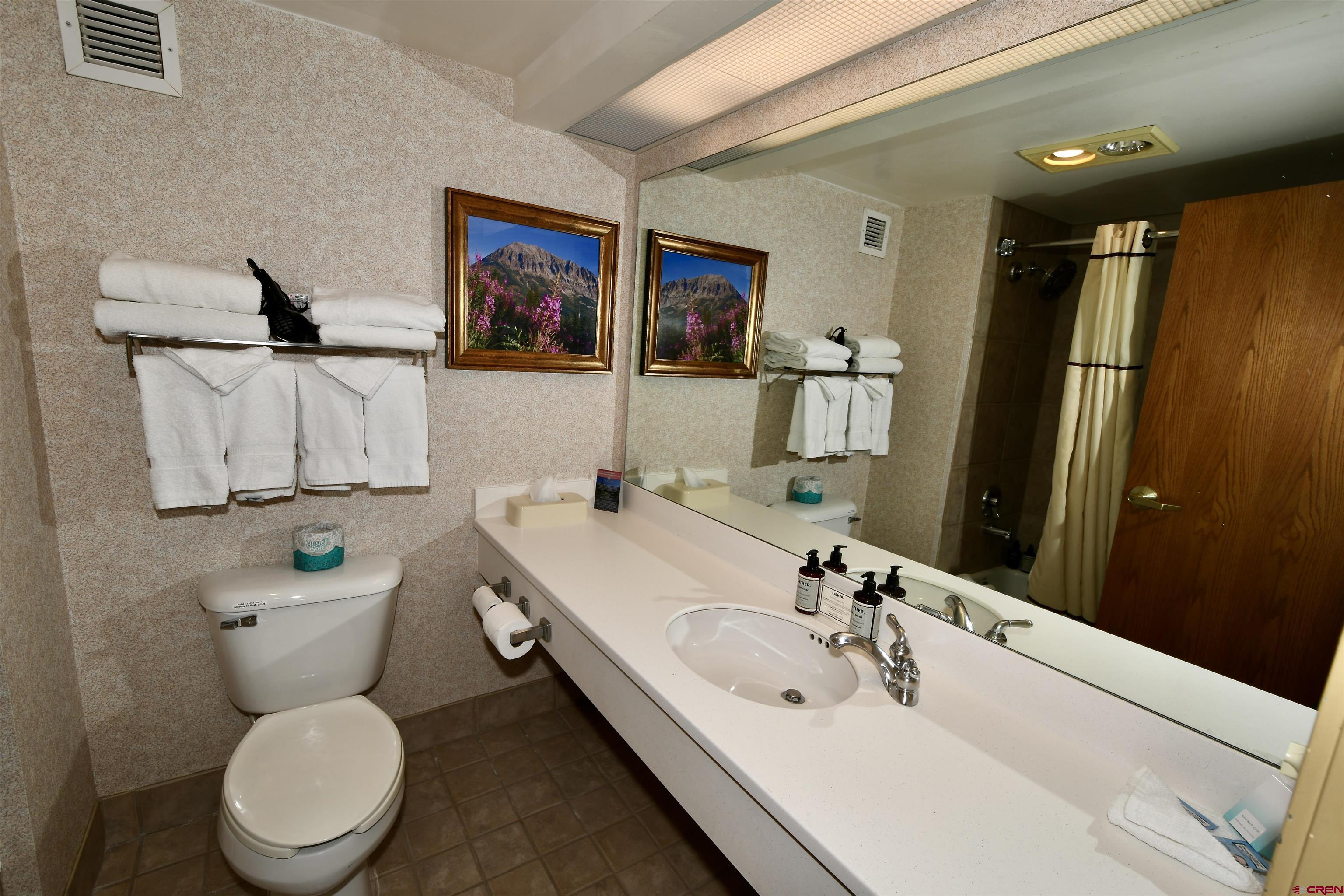 6 Emmons Road, Unit 355 Crested Butte, CO 81225 - Photo 16 of 29 Gallery Image 16