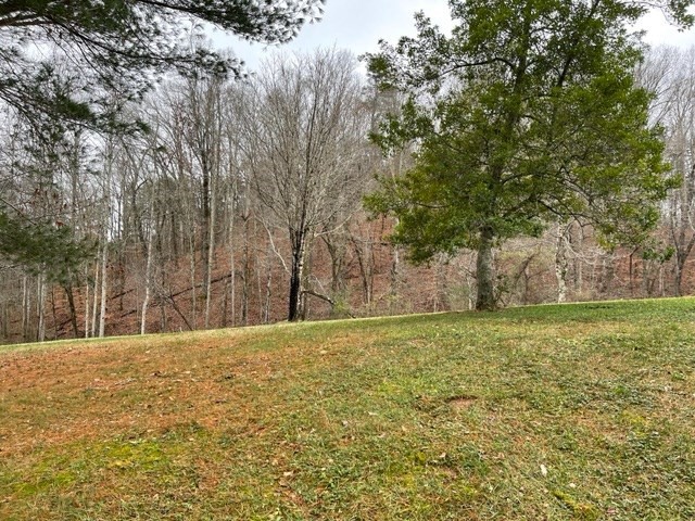 937 County Road 181 Decatur, TN 37322 - Photo 16 of 52 a big yard with trees