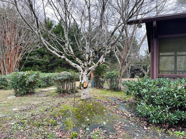 937 County Road 181 Decatur, TN 37322 - Photo 6 of 52 a backyard of a house with lots of green space