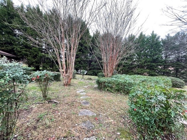 937 County Road 181 Decatur, TN 37322 - Photo 8 of 52 a view of outdoor space and trees
