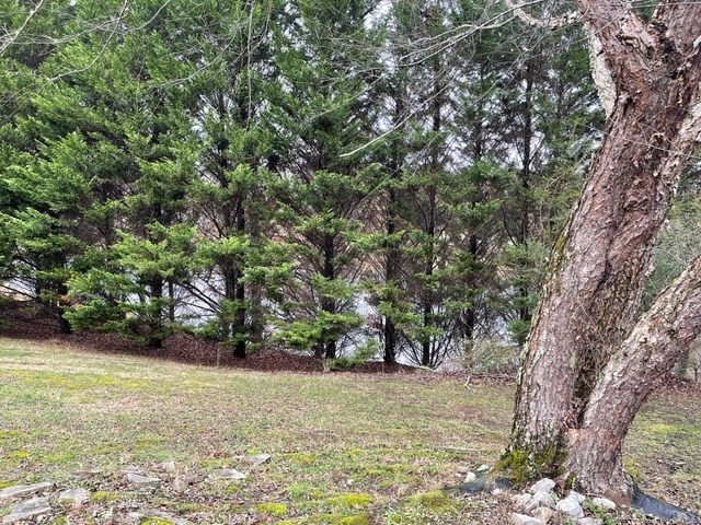 937 County Road 181 Decatur, TN 37322 - Photo 10 of 52 a view of a yard with plants and trees