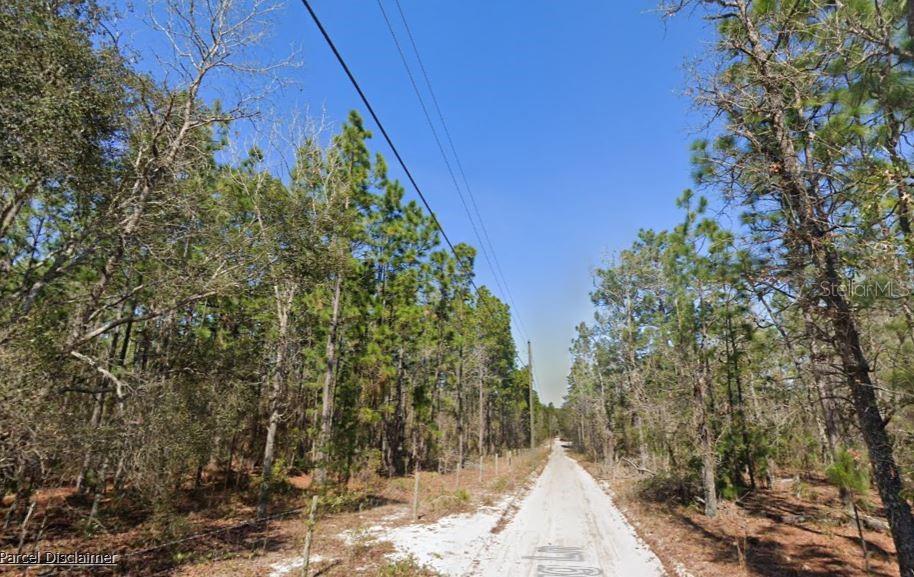 Hills Road Melrose, FL 32666 - Photo 3 of 5 a view of a yard with plants and trees