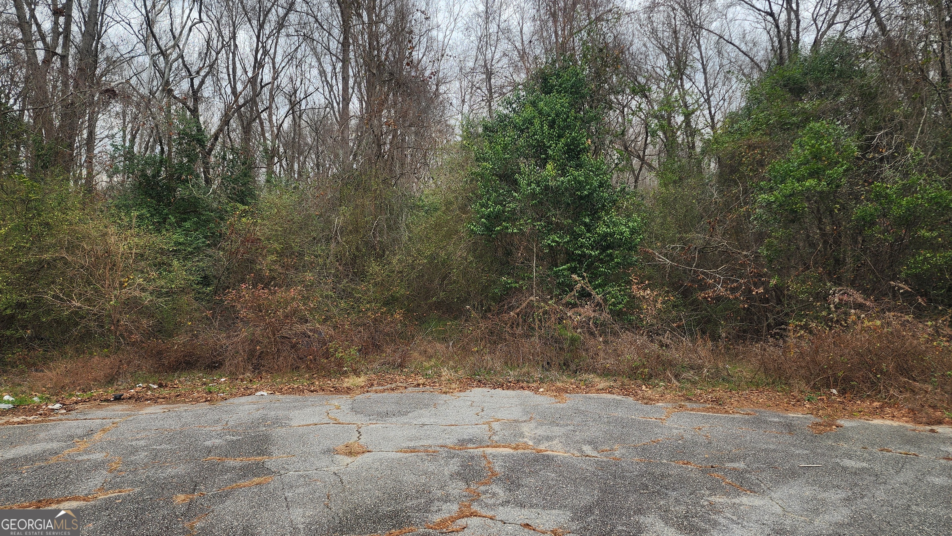 a view of a yard with a tree