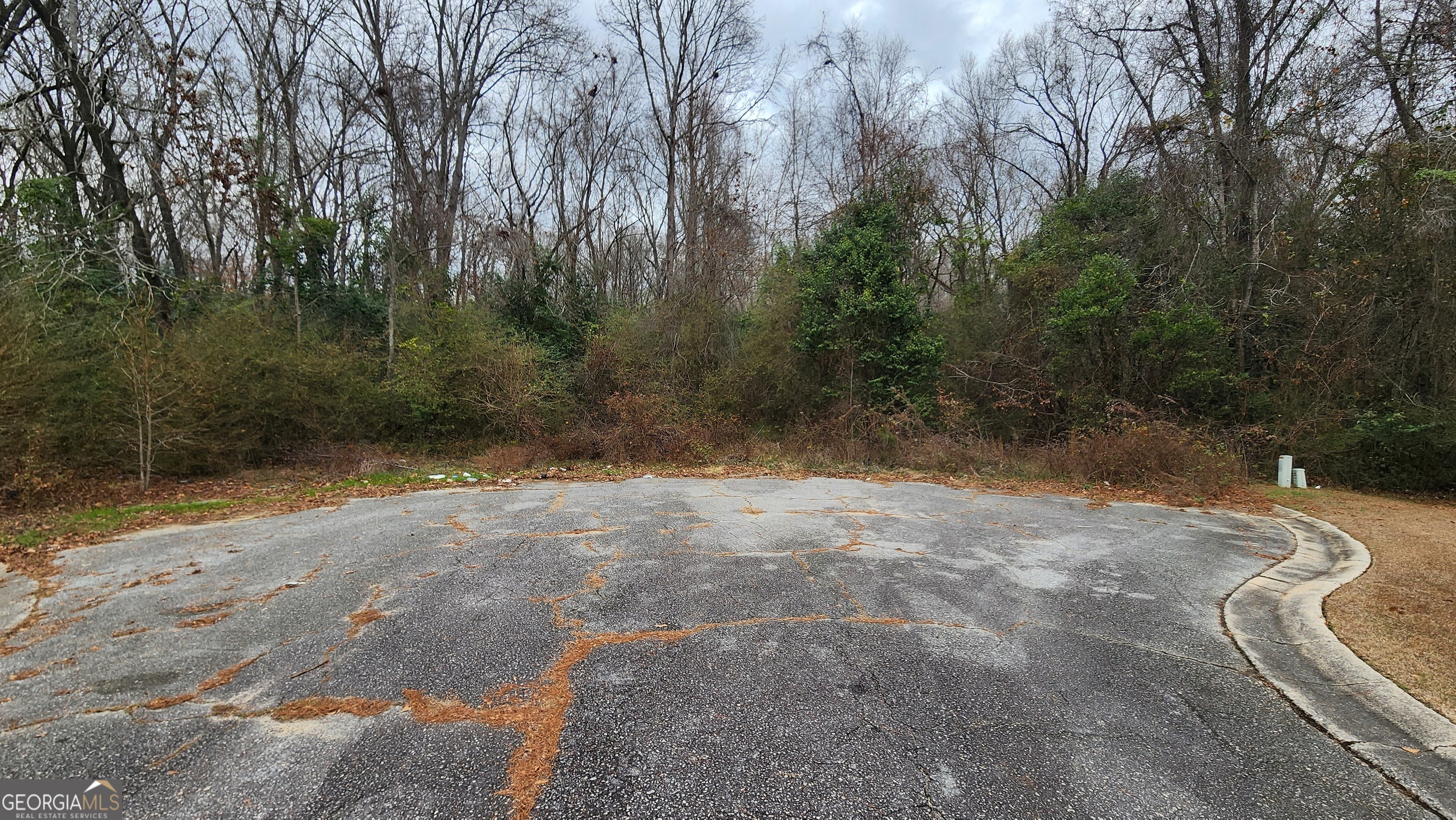 3446 Kingsview Circle Macon, GA 31211 - Photo 4 of 4 a view of a backyard of a house