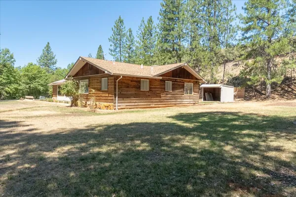 a view of a tree in the middle of a yard