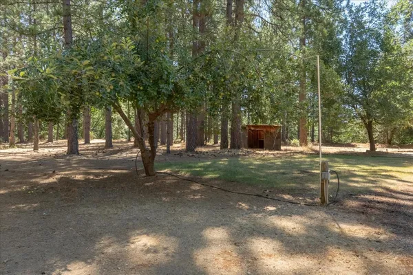 a view of a yard with yellow house