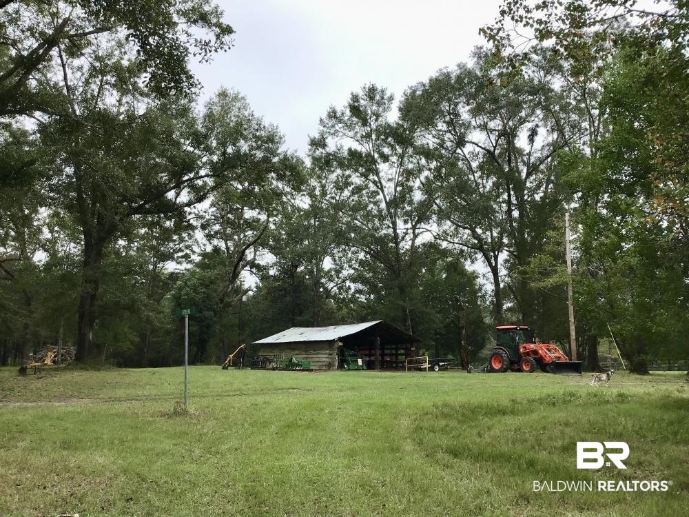 0 Country Road Axis, AL 36505 - Photo 5 of 42