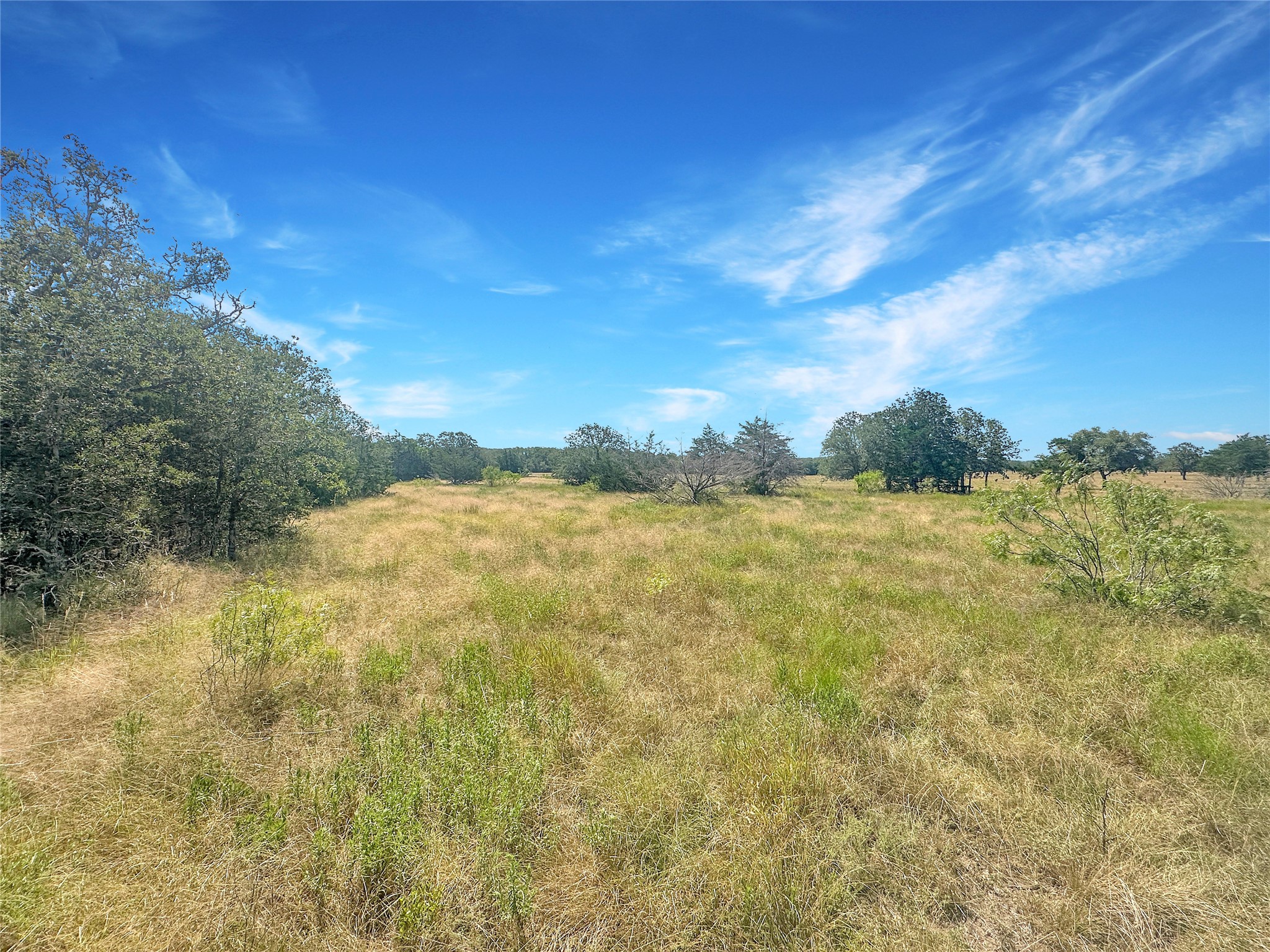 1345 Davis Road Muldoon, TX 78949 - Photo 19 of 25