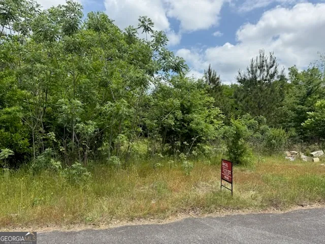 $25,000 | 404 North 5th Street, Warner Robins, GA 31093