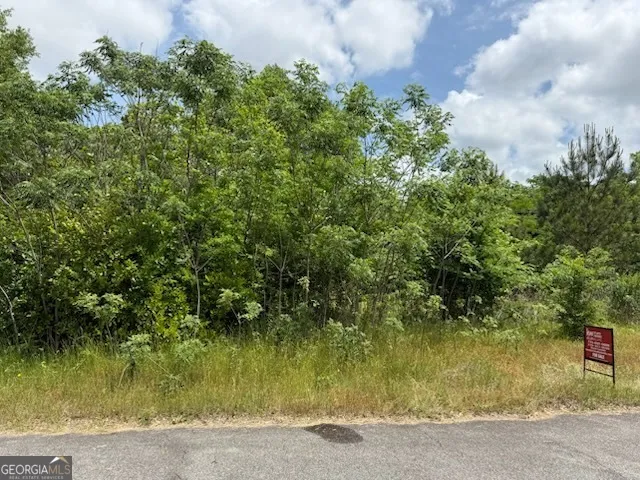 $25,000 | 404 North 5th Street, Warner Robins, GA 31093