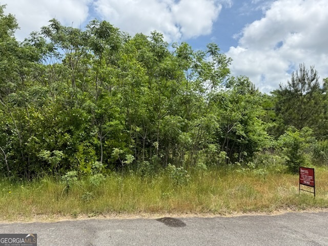 404 North 5th Street Warner Robins, GA 31093 - Photo 3 of 5 a view of a yard with plants and large trees