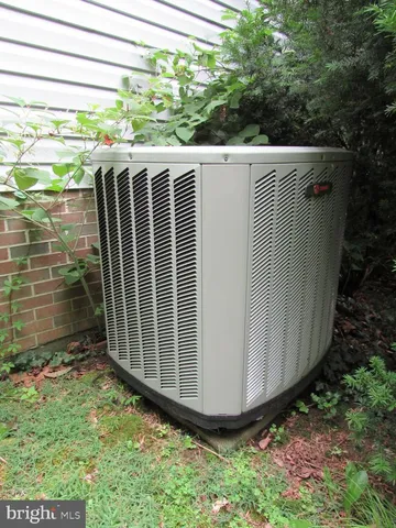 a view of a backyard with plants