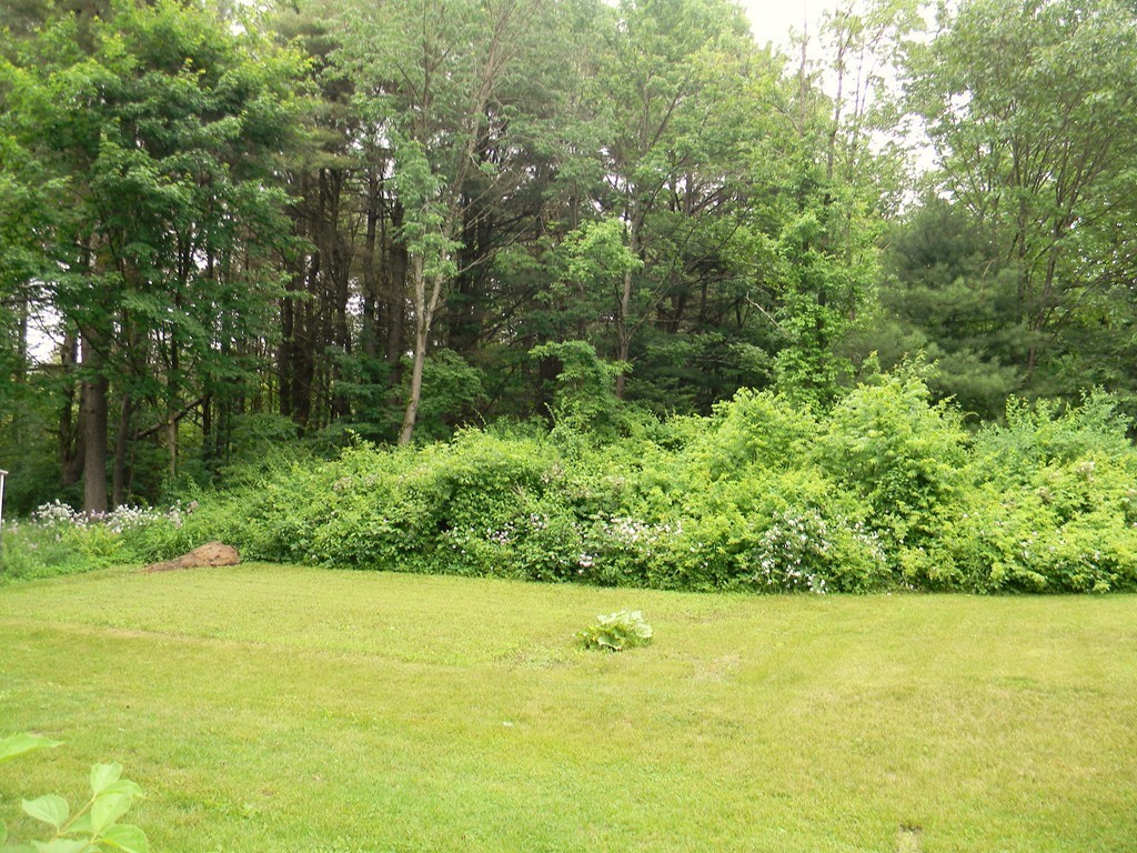 18 Flat Rock Road Petersham, MA 01366 - Photo 17 of 26 a view of a garden with an outdoor space
