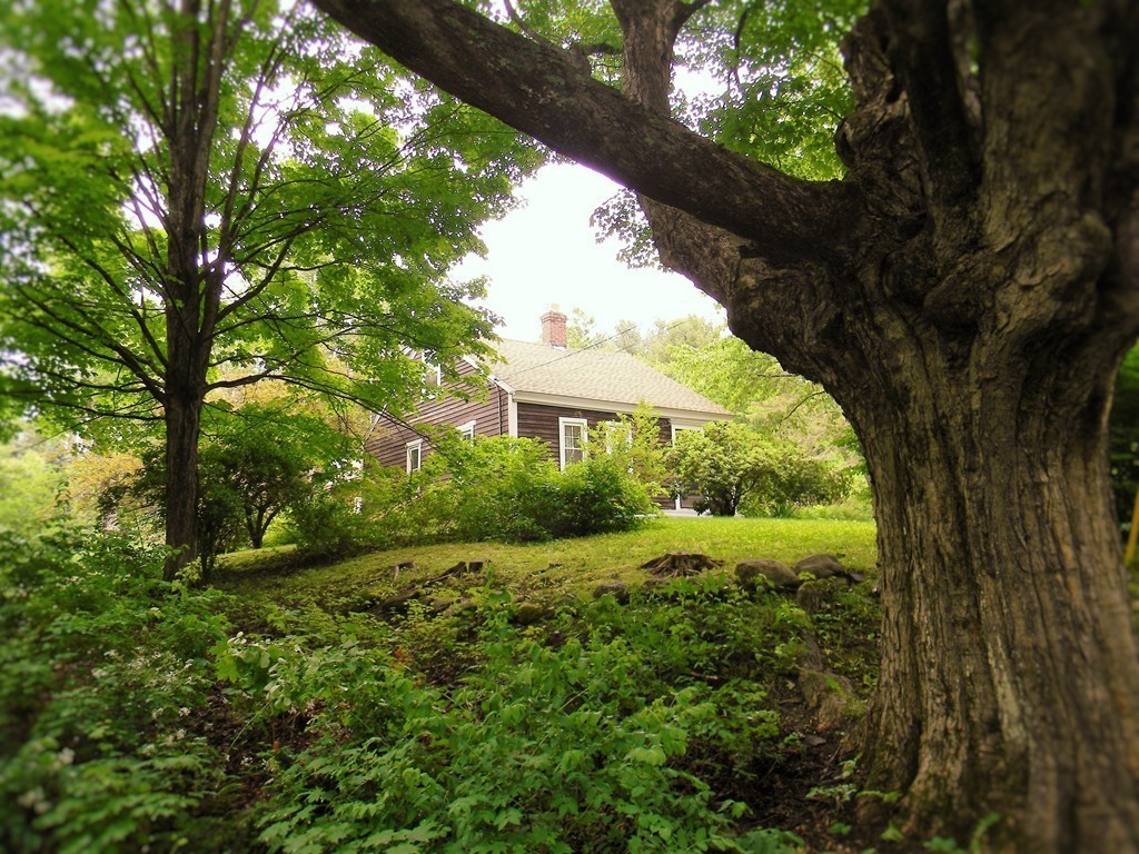 18 Flat Rock Road Petersham, MA 01366 - Photo 2 of 26 a view of a garden with a tree