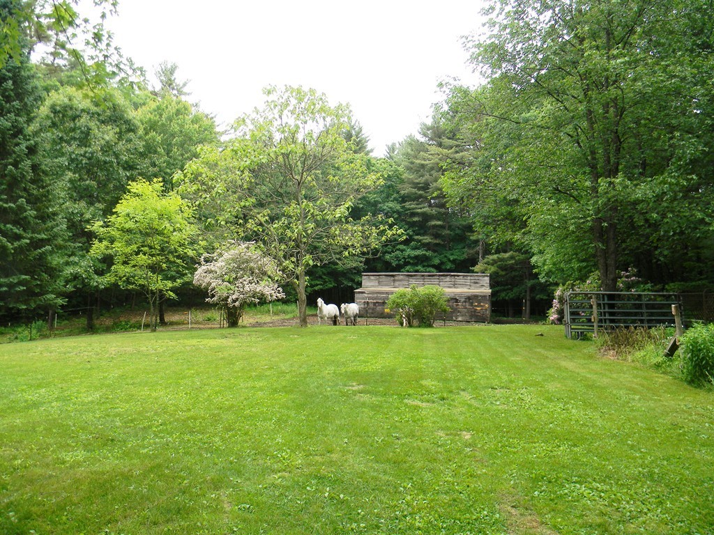 18 Flat Rock Road Petersham, MA 01366 - Photo 23 of 26 a backyard of a house with plants and large trees
