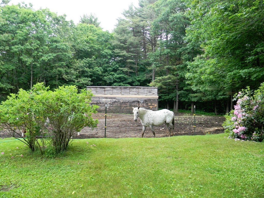 18 Flat Rock Road Petersham, MA 01366 - Photo 26 of 26 a view of a backyard with plants and garden