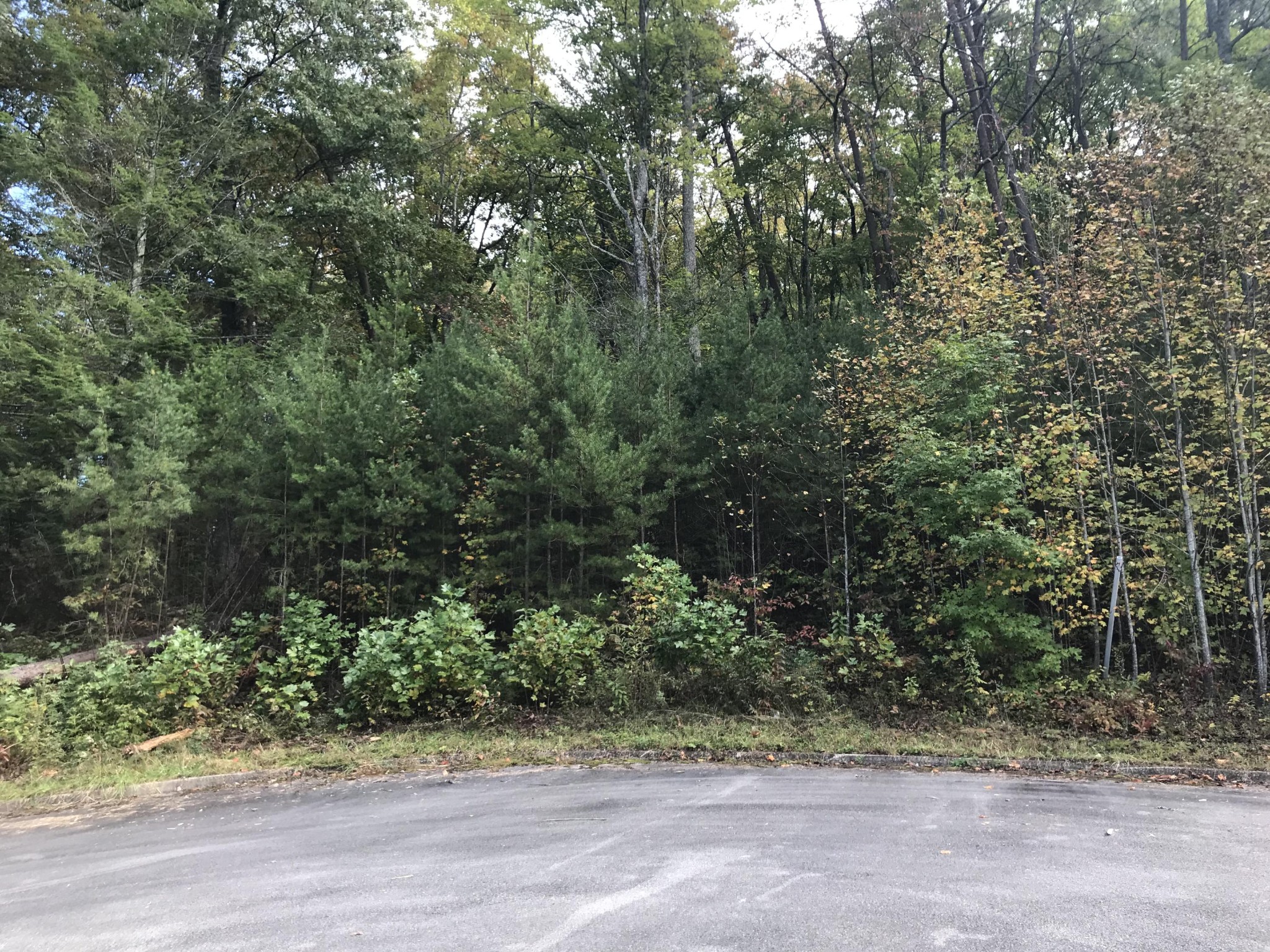 0 Thomas Headrick Road Sevierville, TN 37862 - Photo 1 of 2