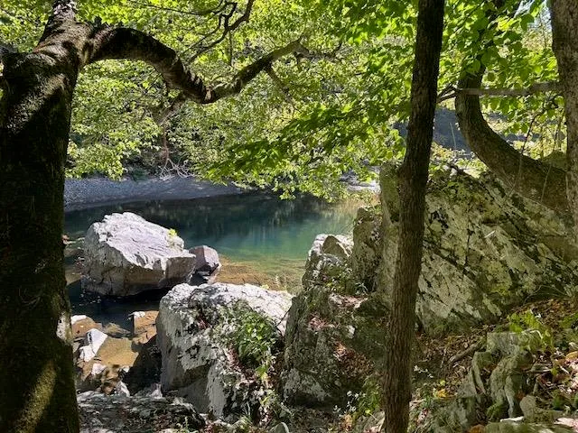 $139,900 | 0 Cold River Road, Langdon, NH 03602