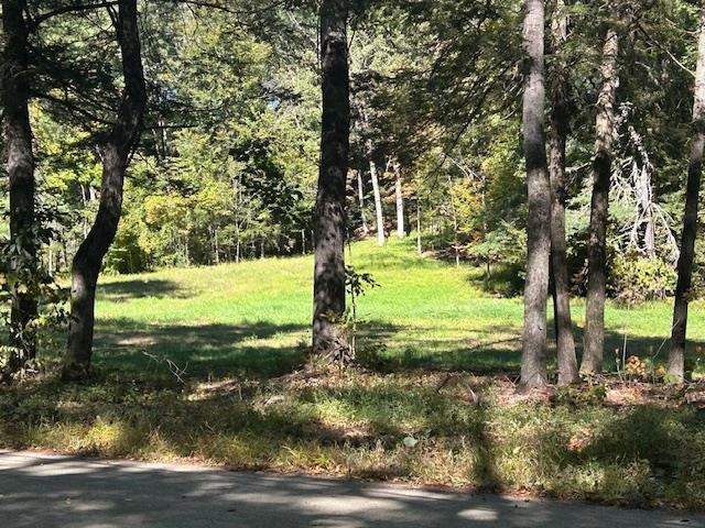 0 Cold River Road Langdon, NH 03602 - Photo 4 of 4