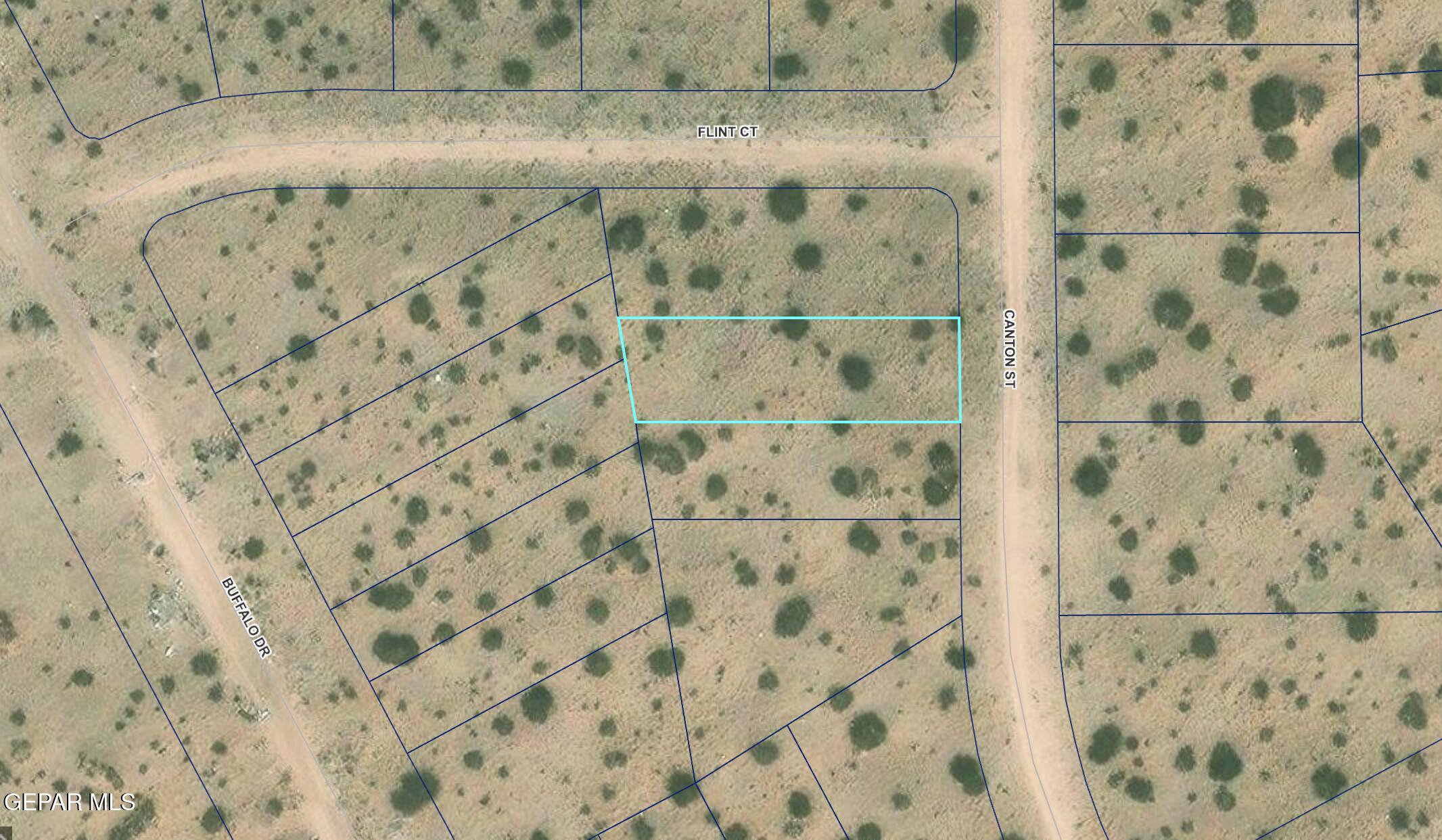 Tbd Canton Street Horizon City, TX 79928 - Photo 6 of 7 County GIS