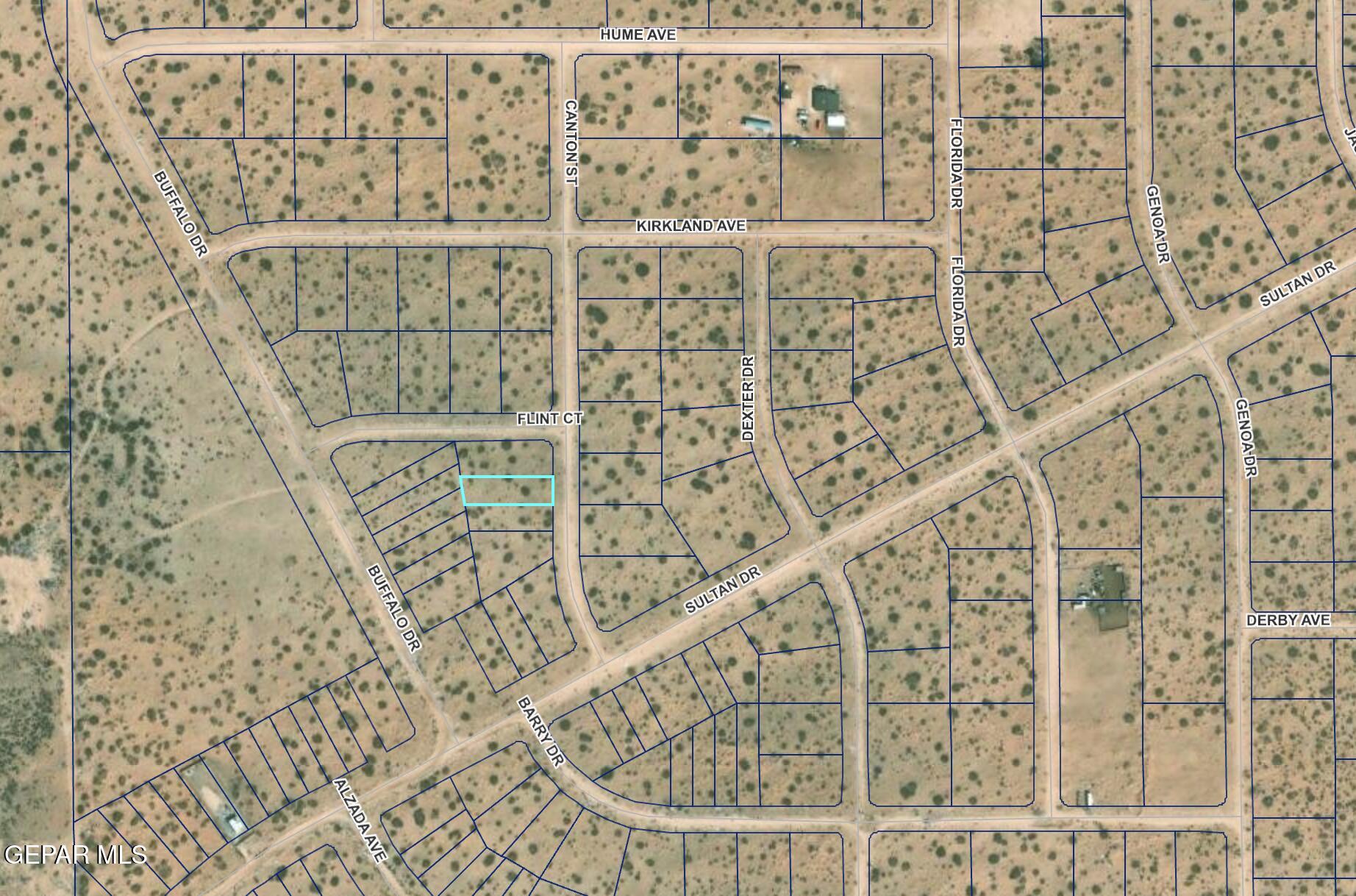 Tbd Canton Street Horizon City, TX 79928 - Photo 7 of 7 County GIS