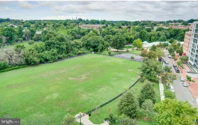 a view of a garden with a building in the background
