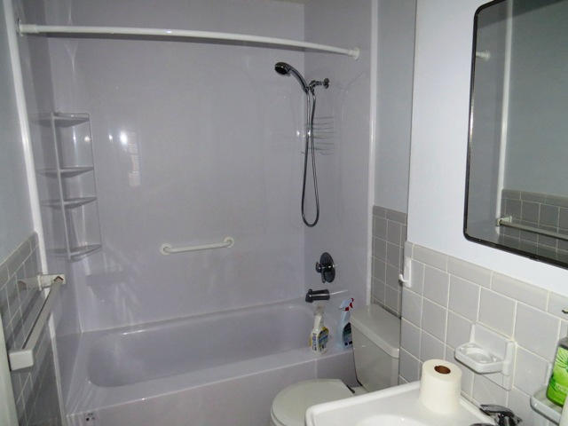 4492 The Great Road Fieldale, VA 24089 - Photo 22 of 40 MAIN BATH
