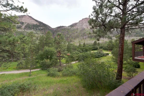 a front view of a house with a yard and trees