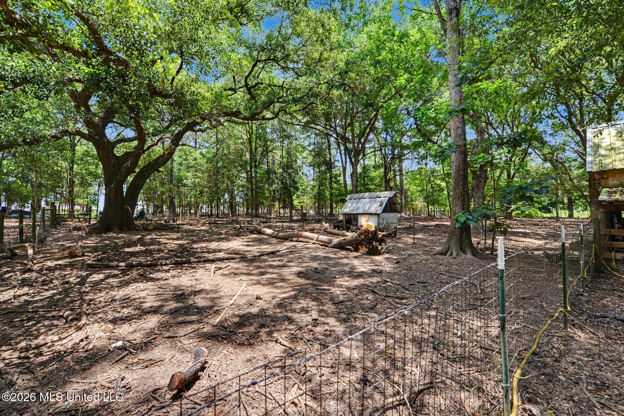 254 Dozier Rogers Road Lucedale, MS 39452 - Photo 44 of 61 041