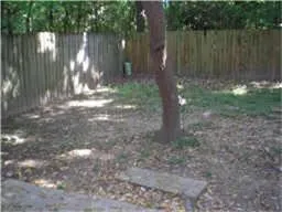 $319,900 | 71 South Wavy Oak Circle, The Woodlands, TX 77381