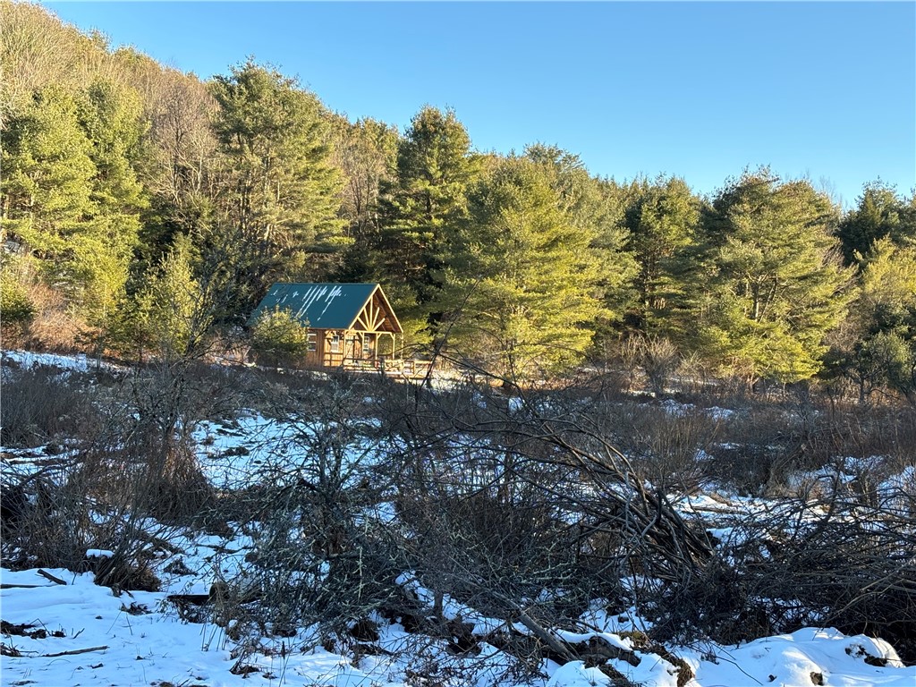 172 Hawks Road Pittsfield, NY 13411 - Photo 23 of 49