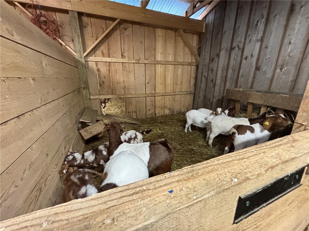 172 Hawks Road Pittsfield, NY 13411 - Photo 48 of 49