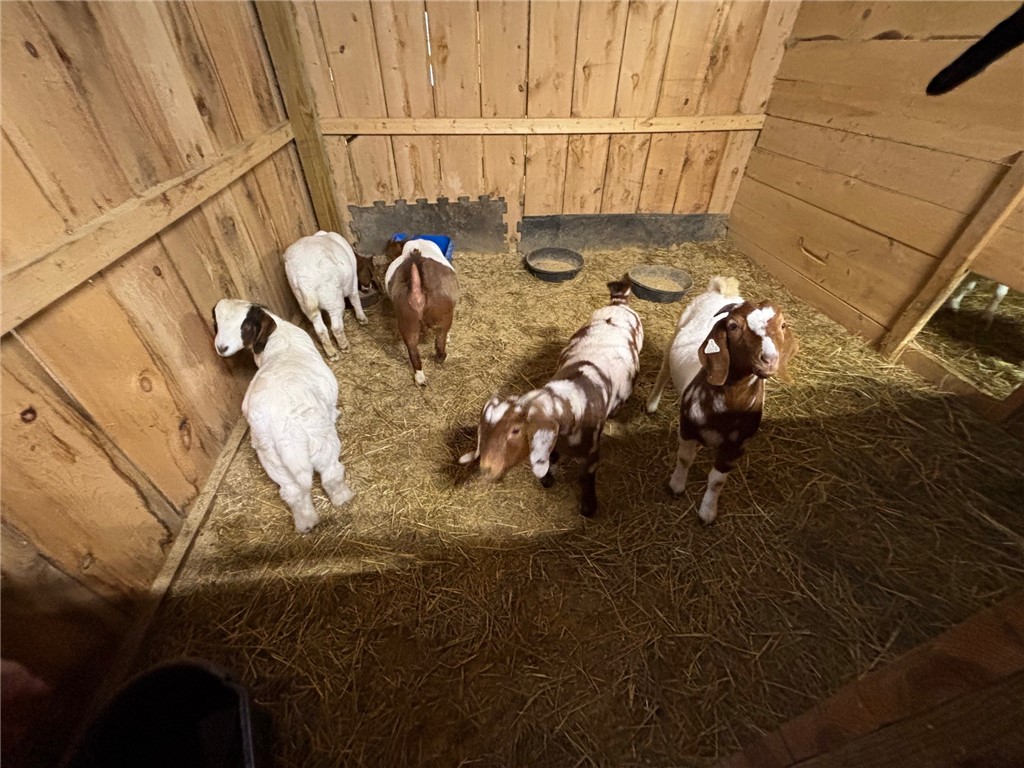 172 Hawks Road Pittsfield, NY 13411 - Photo 49 of 49