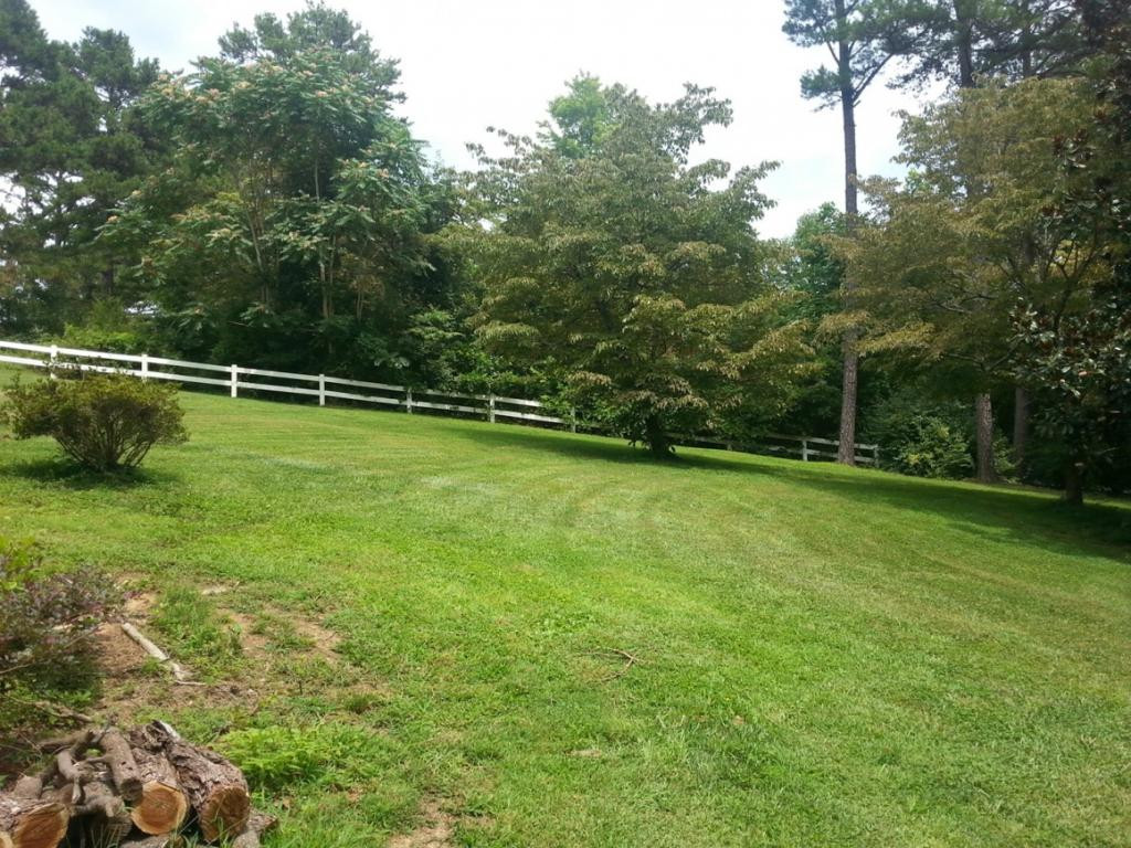 138 Robin Hood Lane Rutledge, TN 37861 - Photo 8 of 11 Photo 8