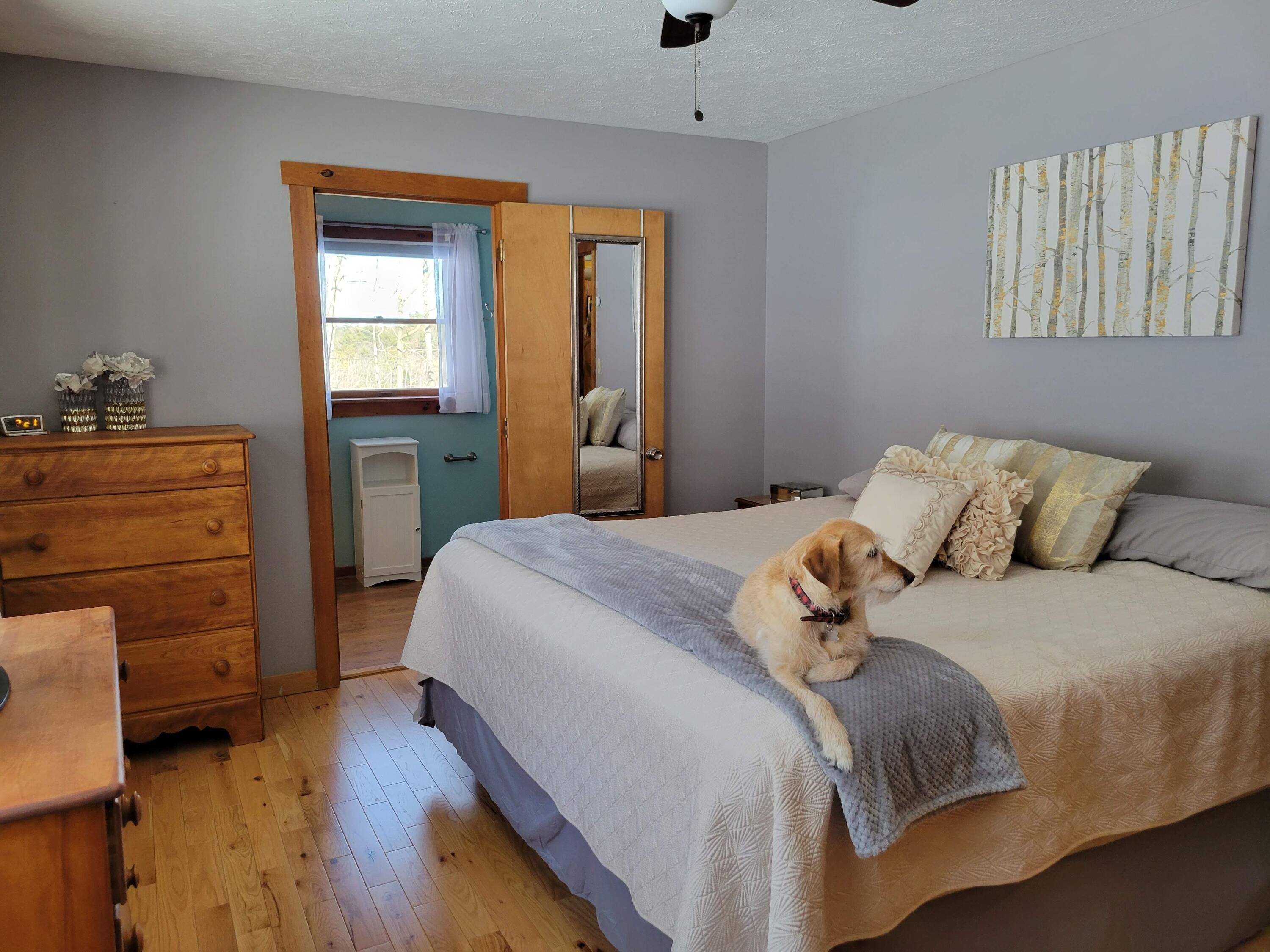 226 Hopper Road Acton, ME 04001 - Photo 19 of 35 20220209_142231