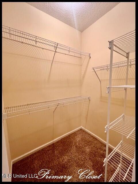 4790 Conner Drive Hernando, MS 38632 - Photo 32 of 58 4790 CONNER - PRIM CLOSET 2